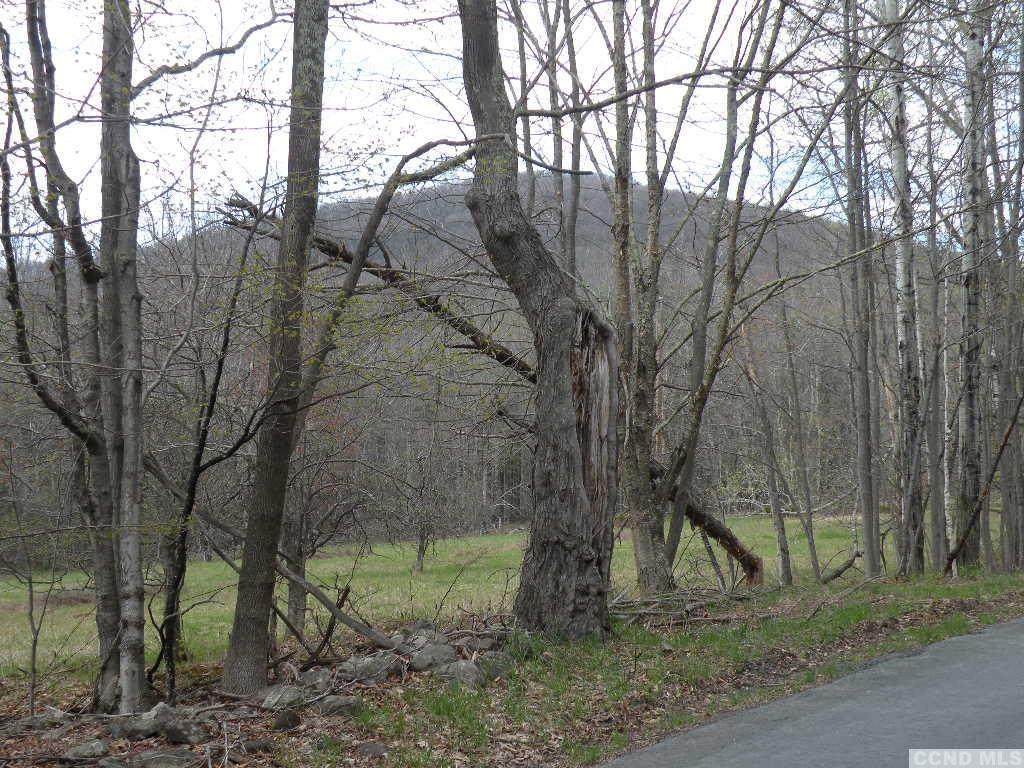 64 Park Road - Photo 1