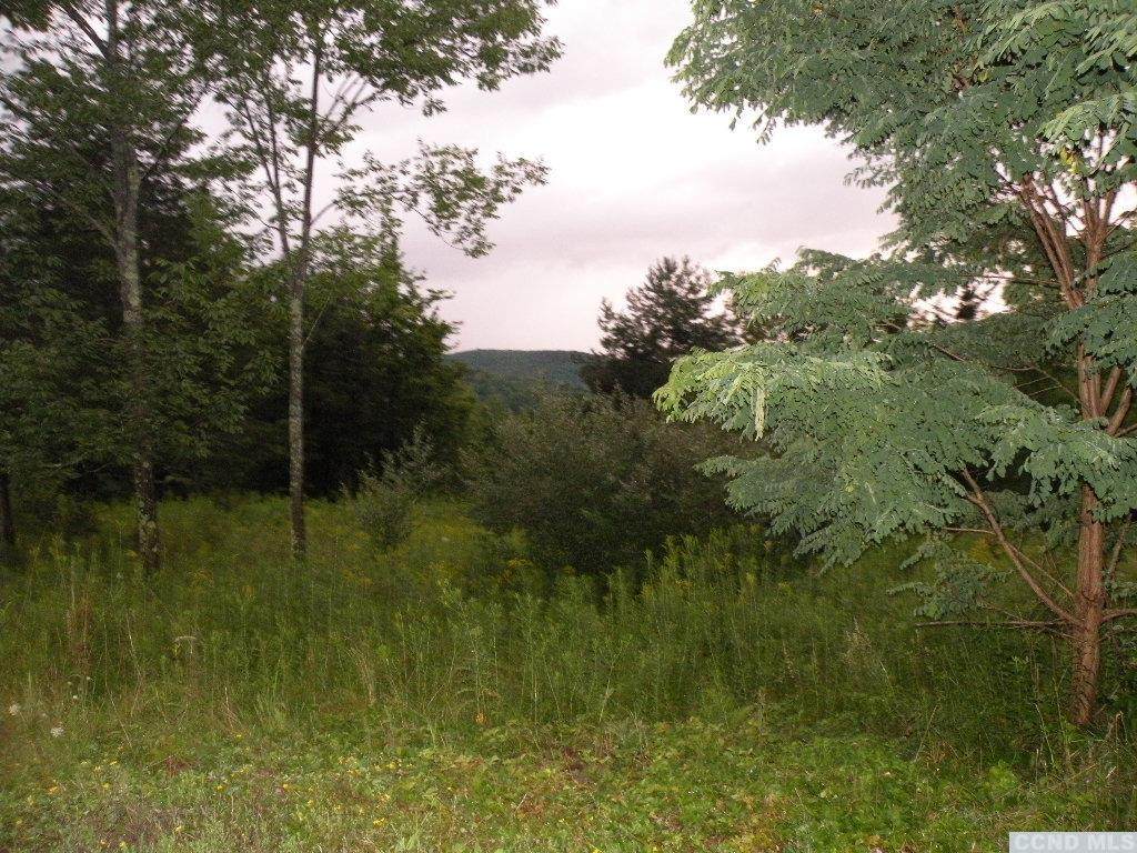 0 Valley (Mountain) View Road - Photo 1