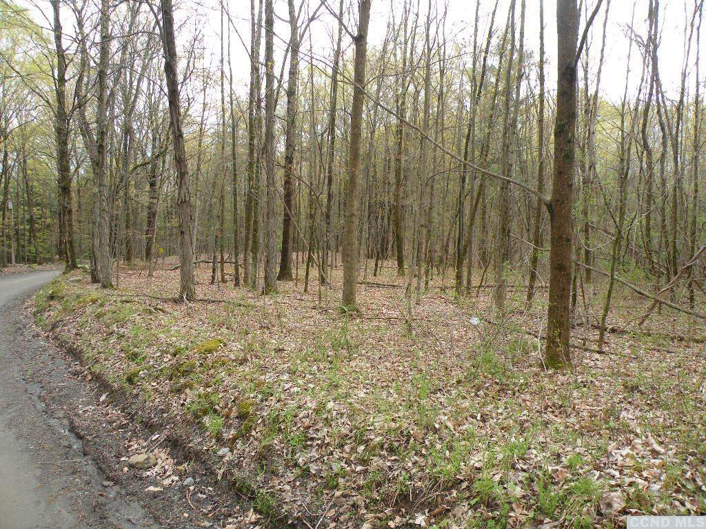 0 Dusenberry Hill Road - Photo 1