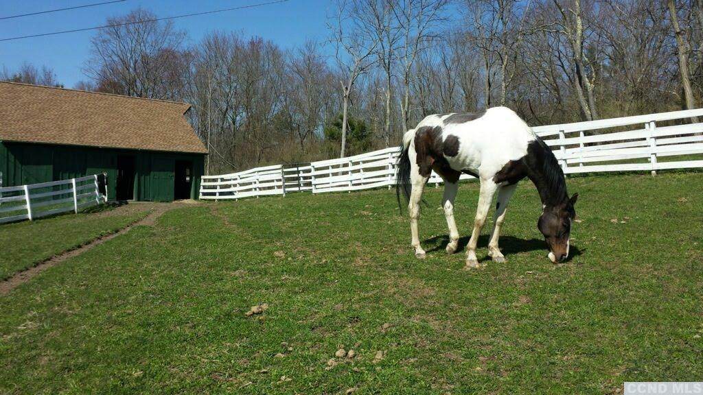 1123 County Route 13 - Photo 1