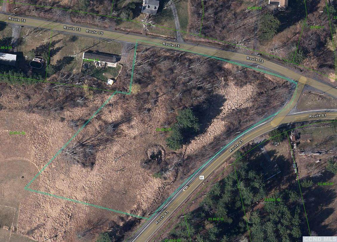 6036 Route 81 - Photo 1