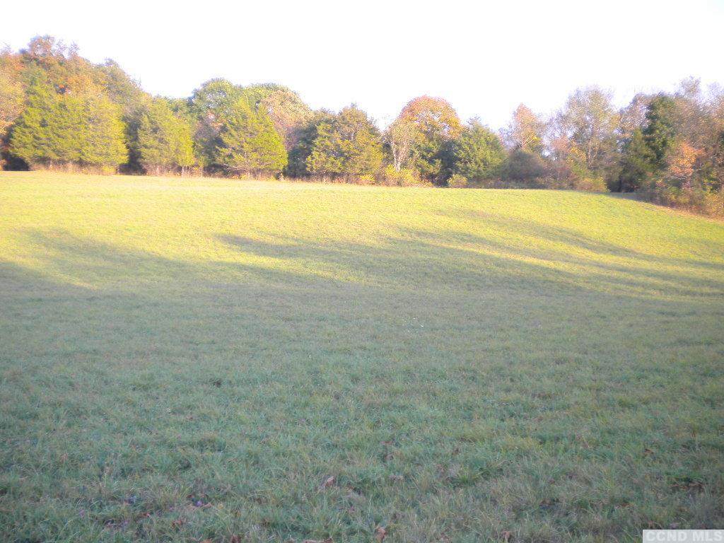 0 Bronck Lake Road - Photo 1