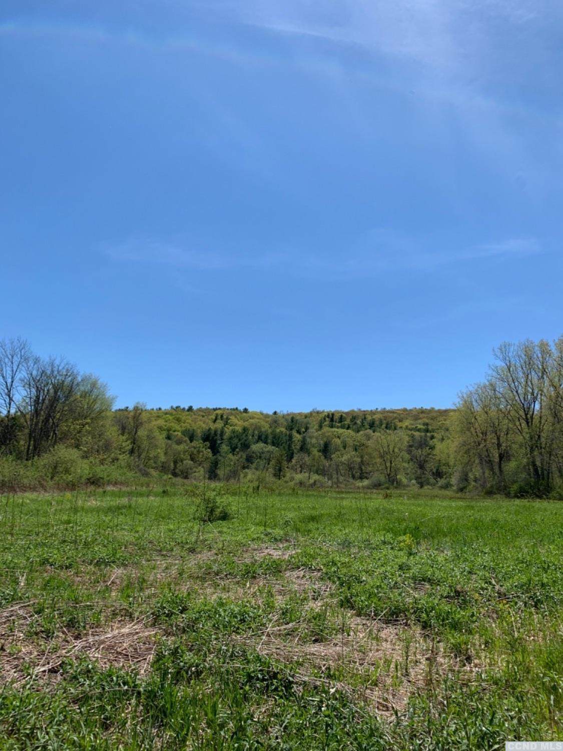 0 0 Memorial Drive Drive - Photo 1