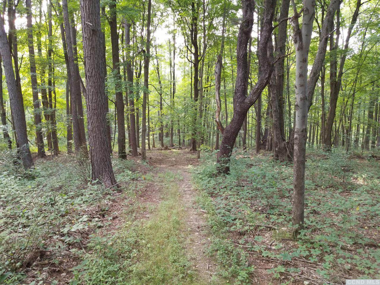 1026 Hollow Road - Photo 1