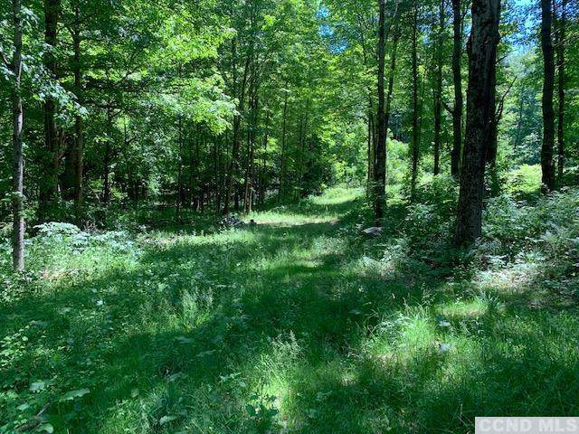 0 Miller Road - Photo 1