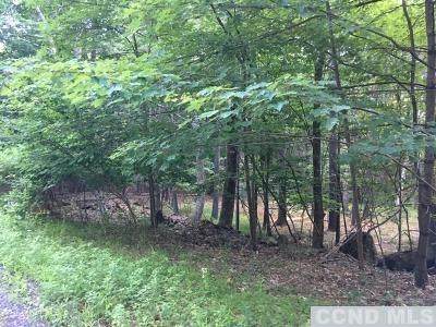 0 Paradise Lake Road - Photo 1