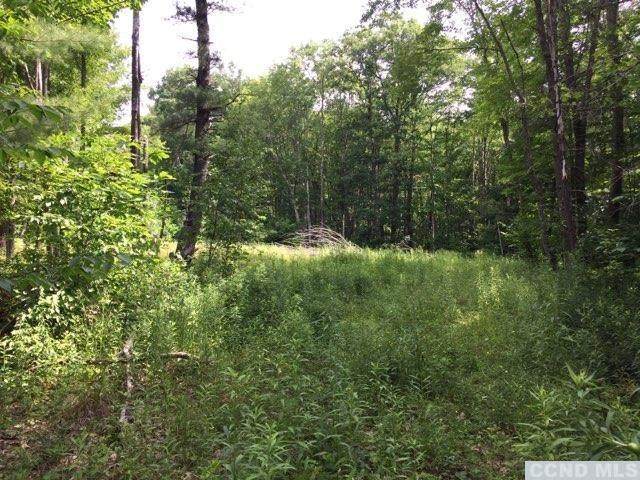 2419 Rt 296 - Photo 1