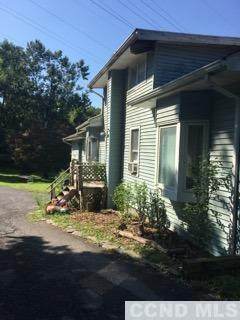 1 Snake Road - Photo 1