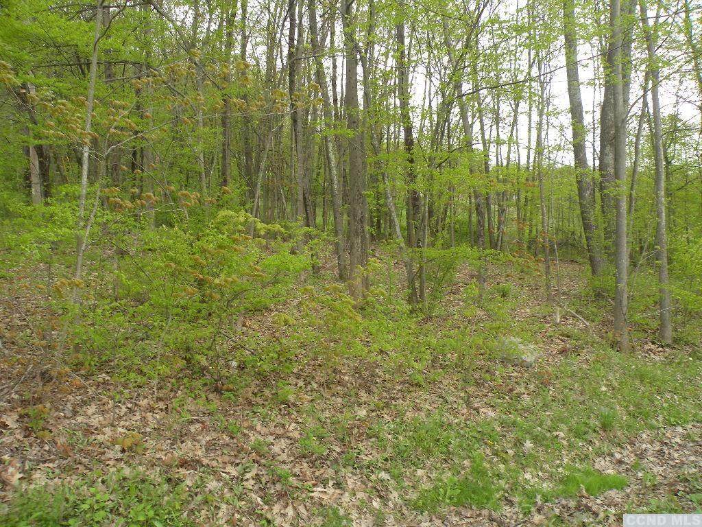 0 Hall Hill Road - Photo 1