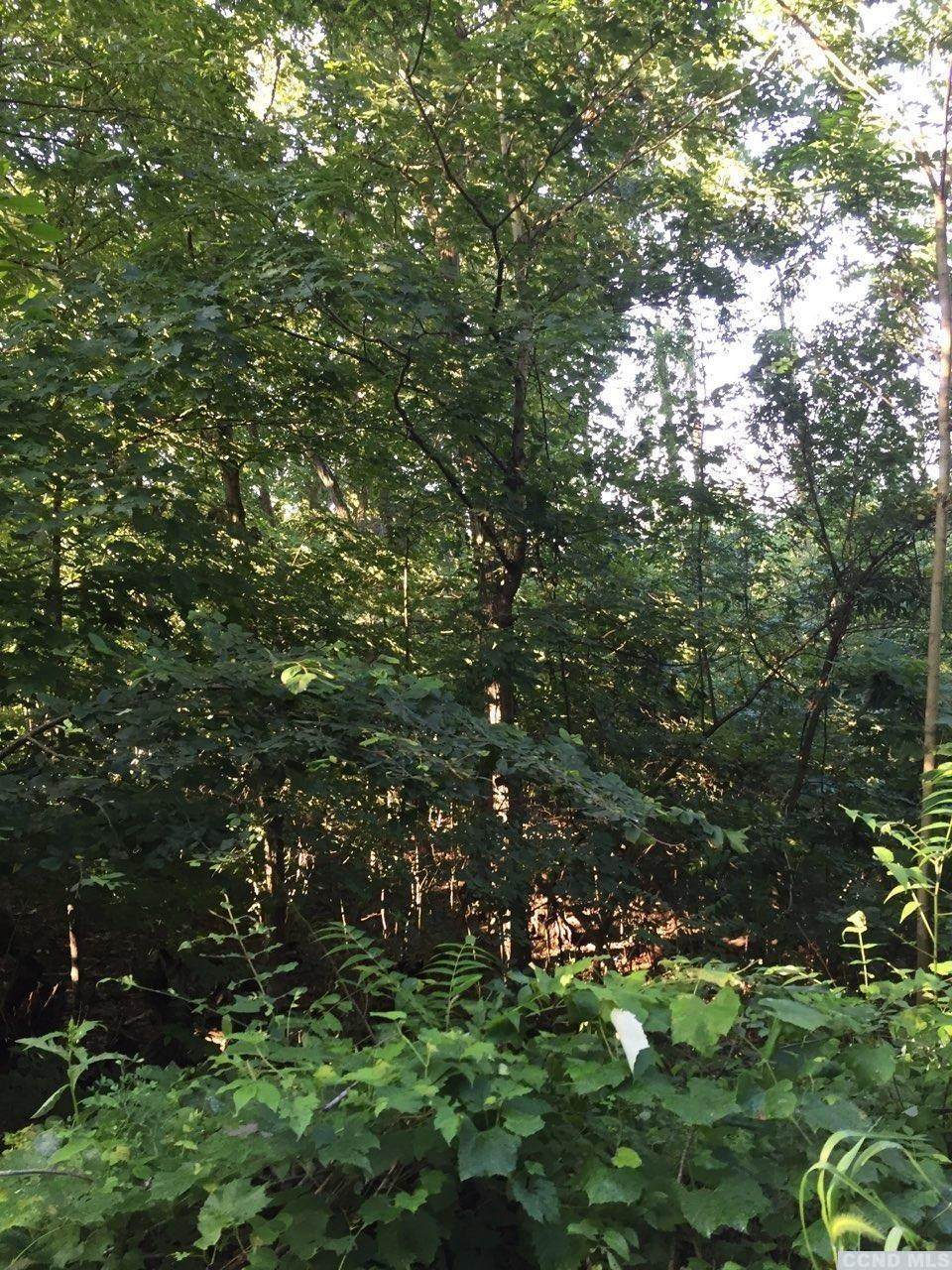 0 Gregory Hollow Road - Photo 1