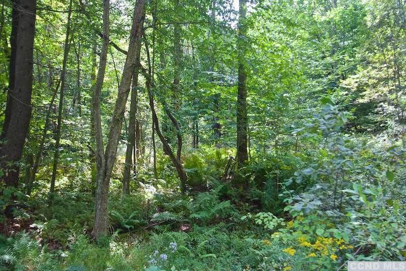 408 New Concord Road - Photo 1
