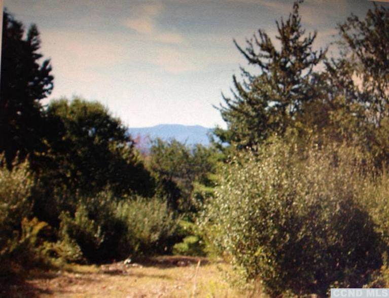 0 Rt 27B/Catskill View Road - Photo 1
