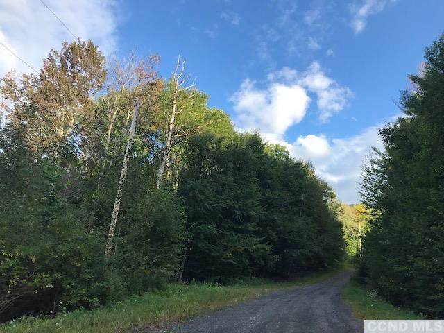 0 Rappleyea Road - Photo 1