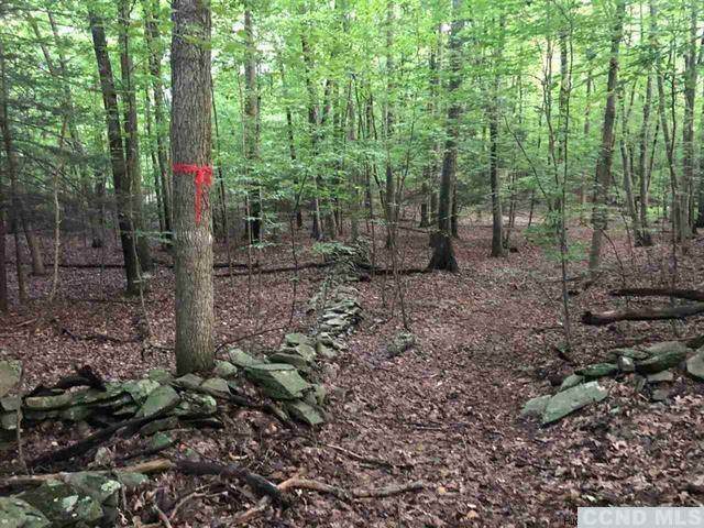 139 Ackert Hook Road - Photo 1