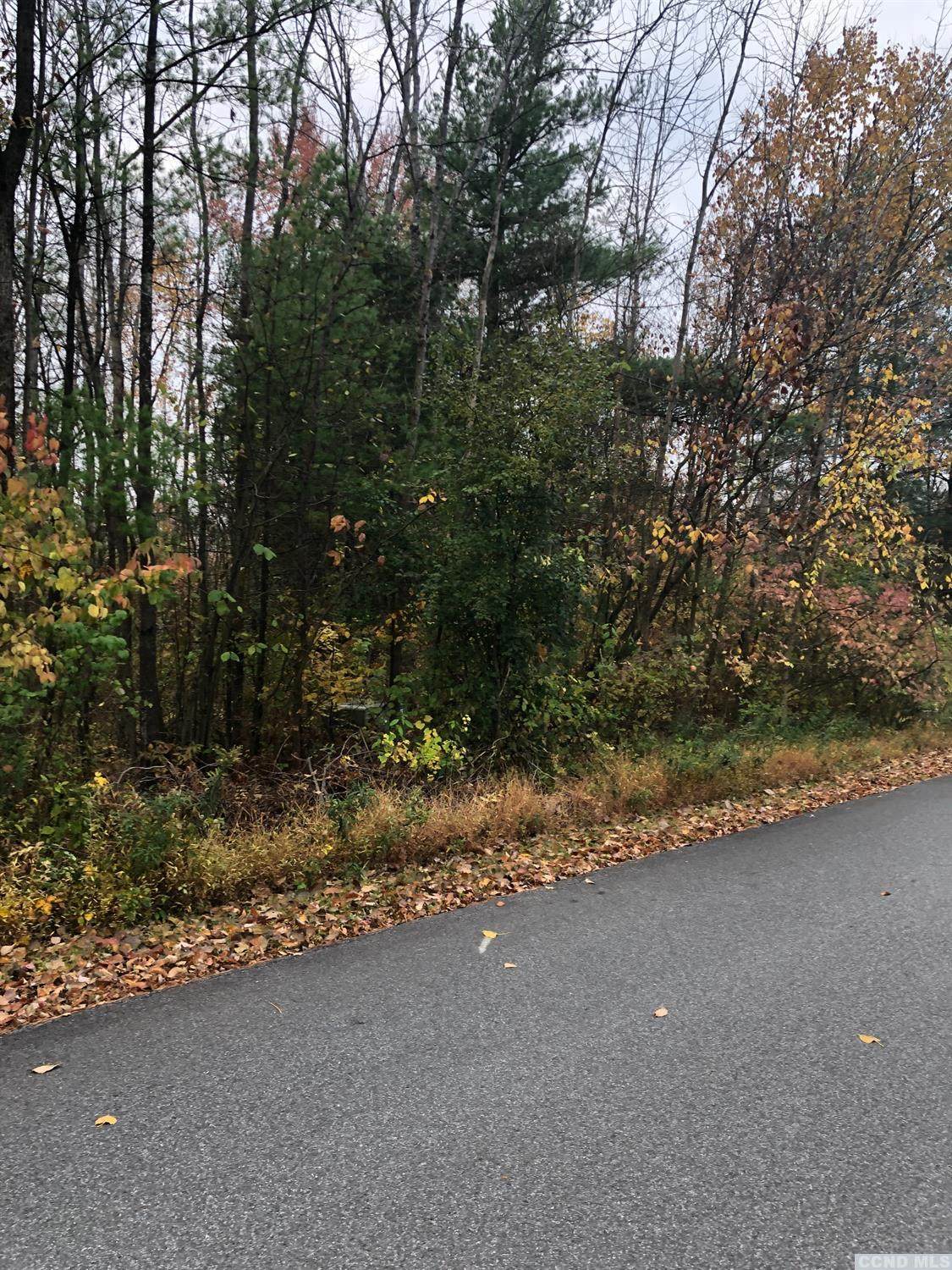 85 Tommy Trail - Photo 1