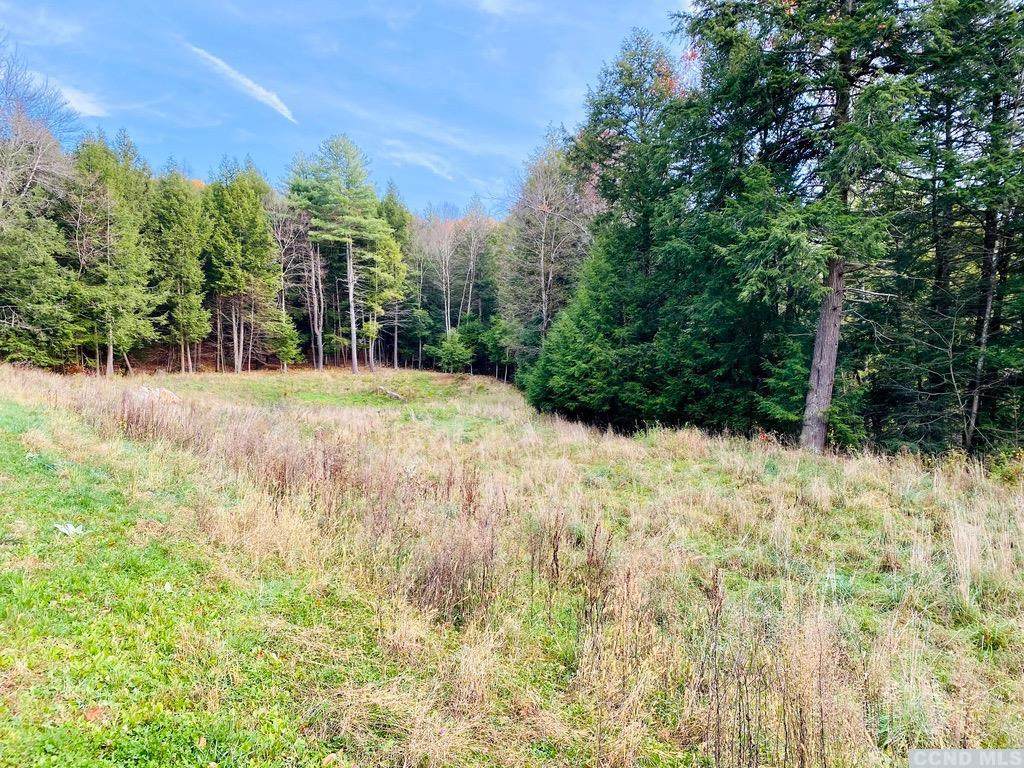 13191 State Route 22 - Photo 1