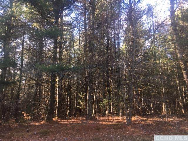 0 Fawn Hill Road - Photo 1