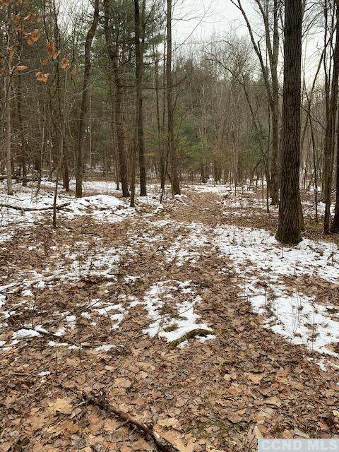 0 Hoags Corners Rd - Photo 1