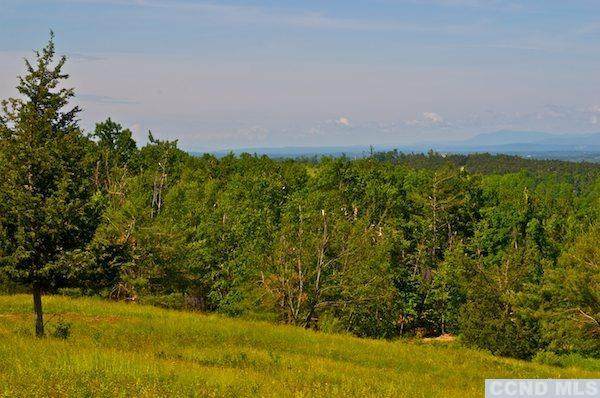 271 Catskill View Road - Photo 1