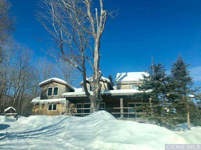 35 Ski Bowl Road - Photo 1