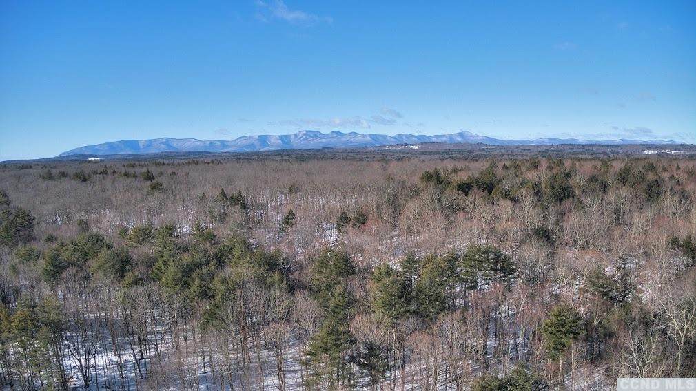 651 Honey Hollow Road - Photo 1