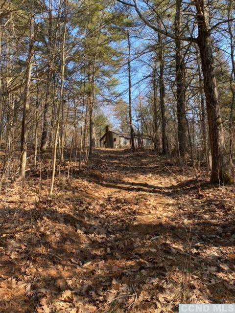 0 Deans Mill Road - Photo 1