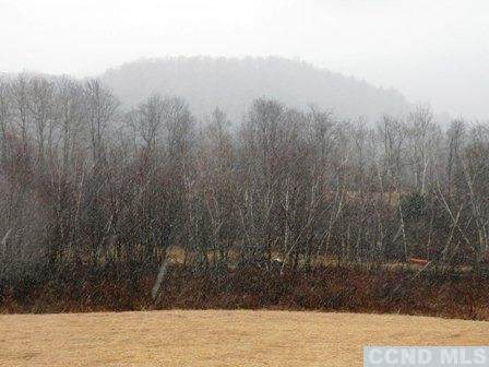 0 Tunnel Hill Road - Photo 1