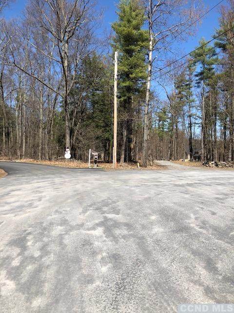 305 Hinrichsen Heights Road - Photo 1