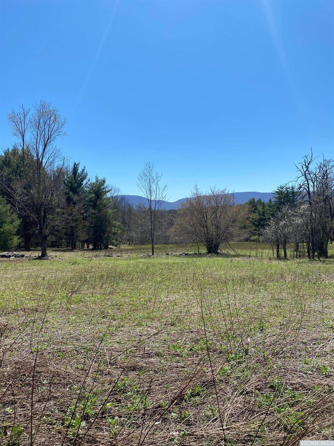 0 Cozy Hollow - Photo 1