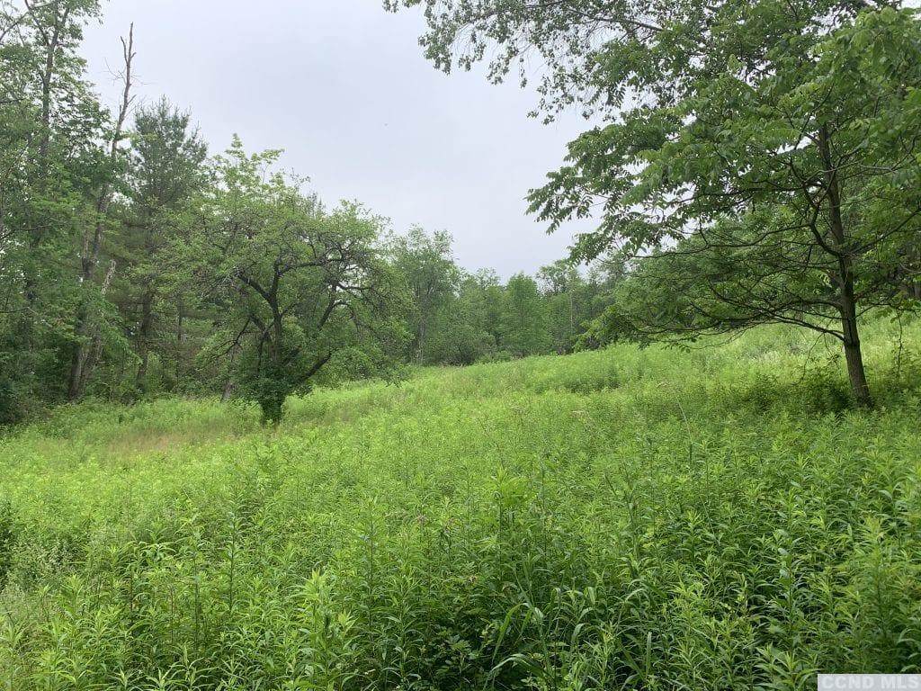 0 Hand Hollow Road - Photo 1