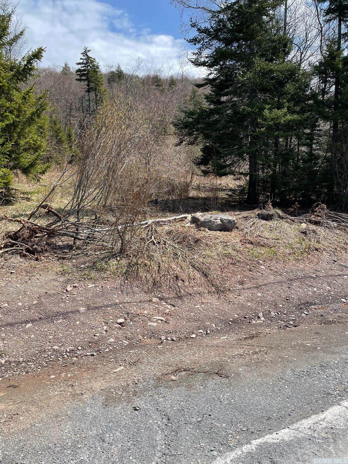 0 Route 25 - Photo 1