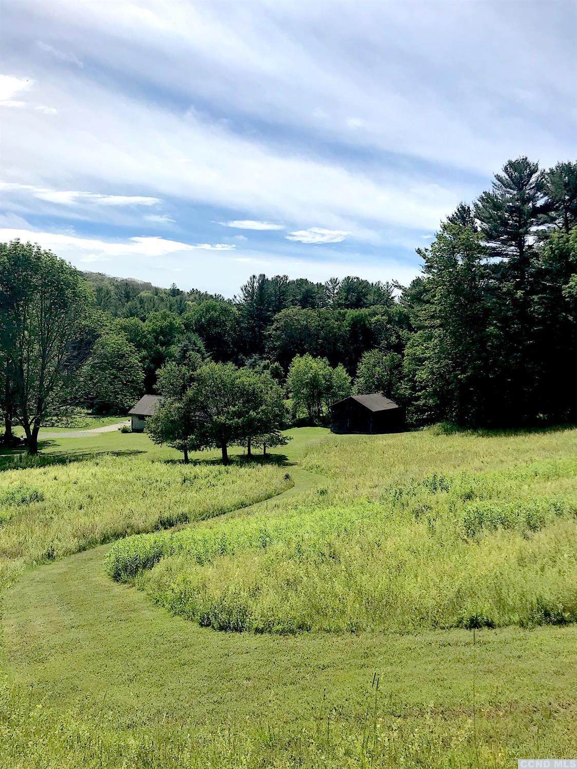 182 Route 203 - Photo 1