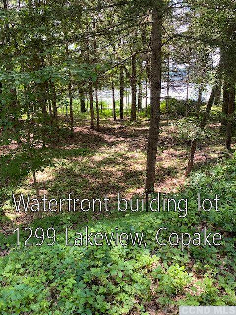 1299 Lakeview - Photo 1
