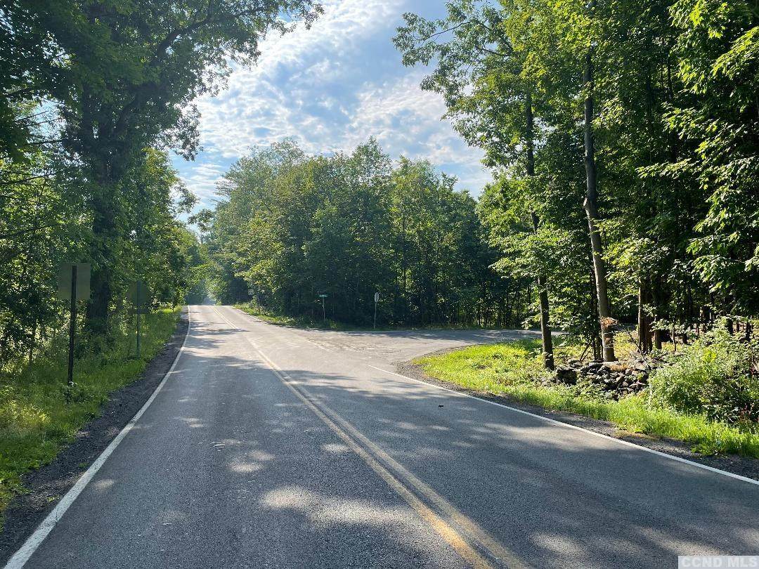 0 County Route 67 (Doman Rd) - Photo 1