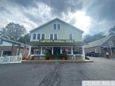 2351 Route 145 - Photo 1