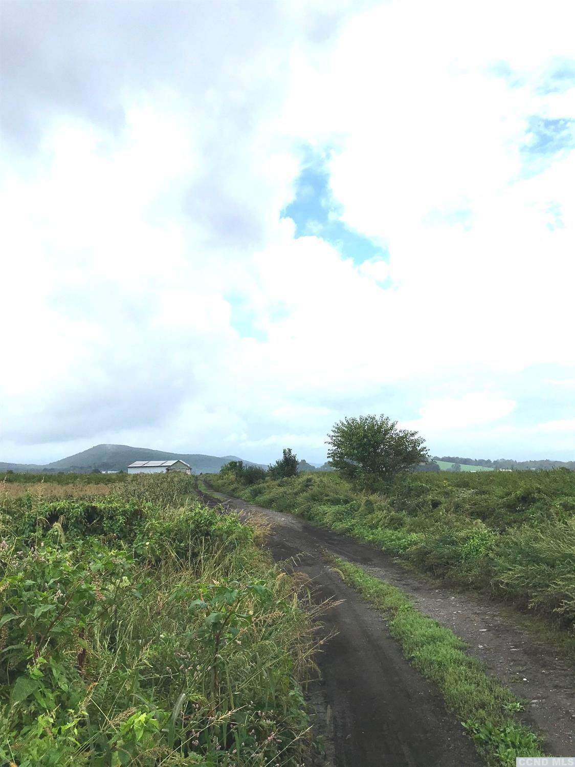 0 Pumpkin Swamp Road - Photo 1