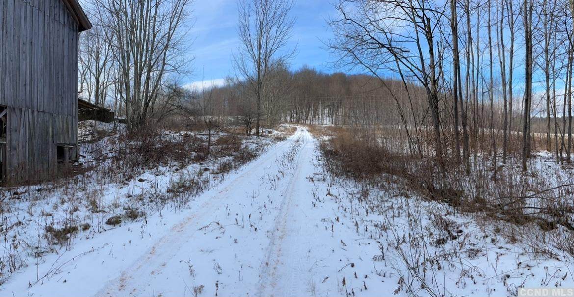 0 Fall Clove Road - Photo 1