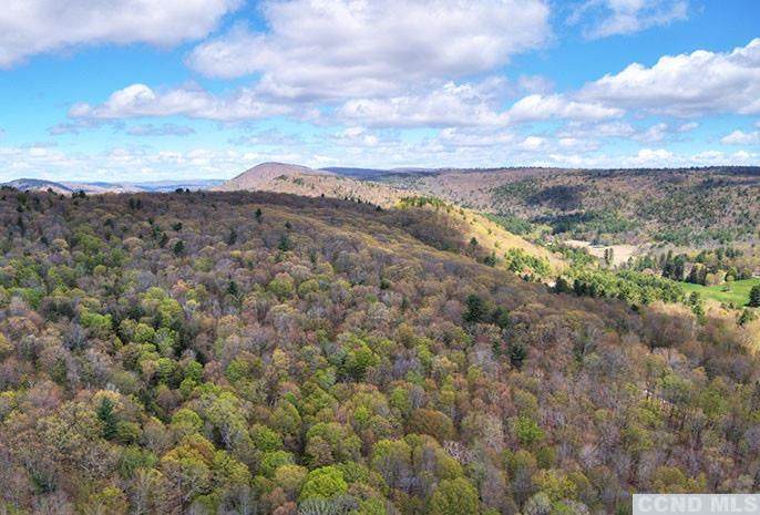 301 Overlook Drive - Photo 1