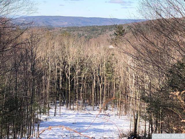 0 Whitetail Rd - Lot 14 - Photo 1