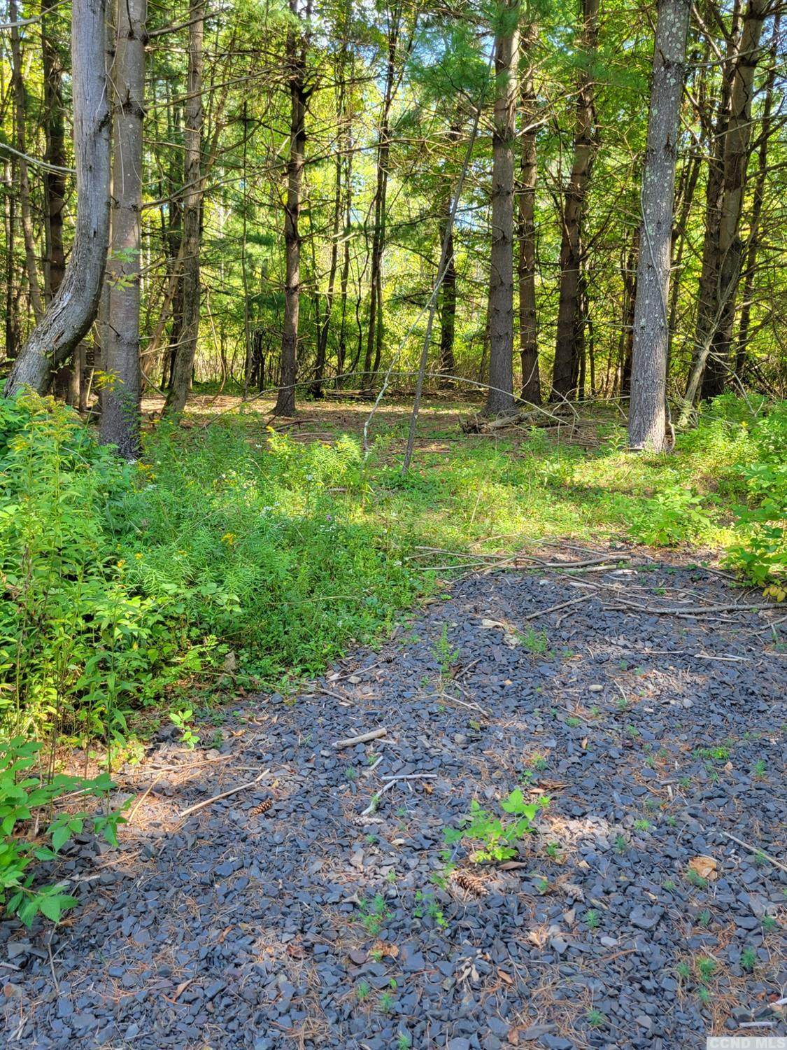 0 Drake Hill Road - Photo 1