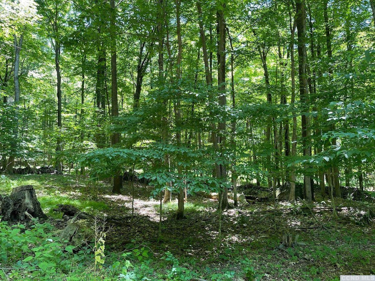 0 Germans Hill - Photo 1