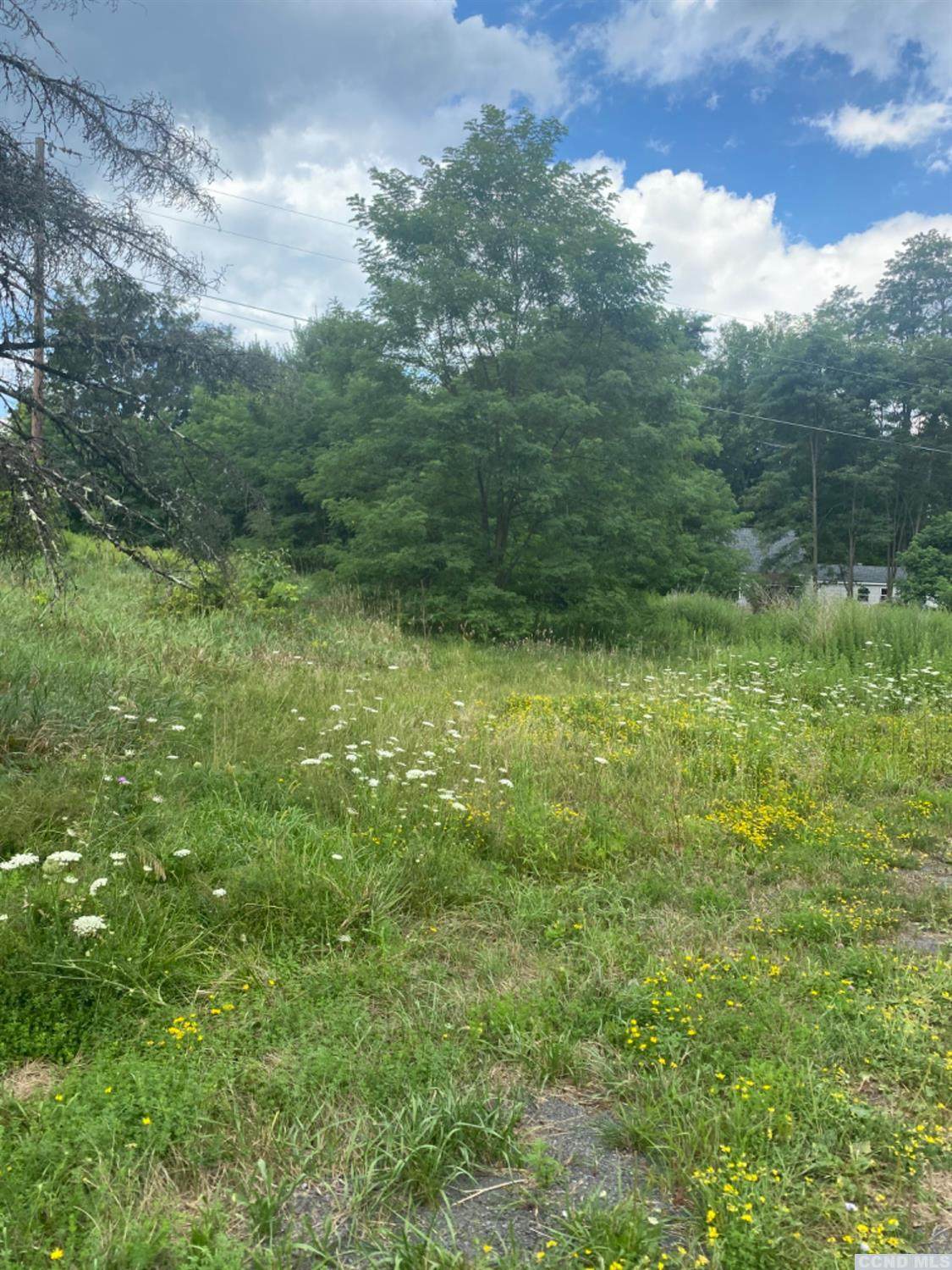 0 Sunny Valley Road - Photo 1