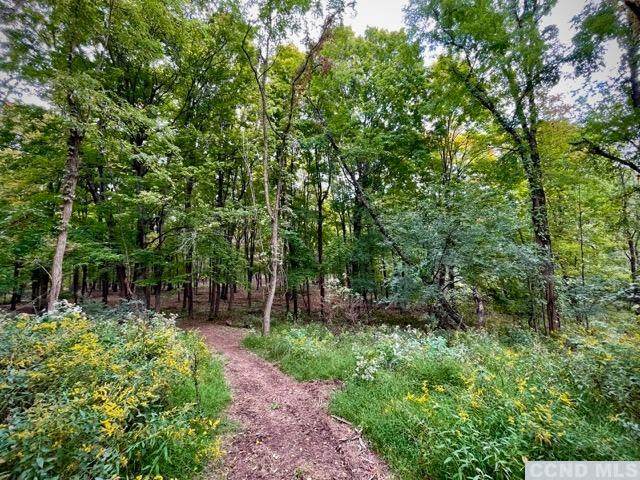 0 Hinrichsen Heights Road - Photo 1