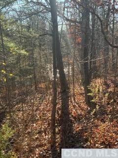 597 Sleepy Hollow Road - Photo 1
