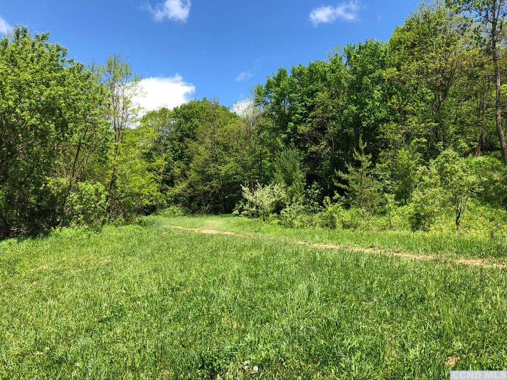 0 Warners Lake Road - Photo 1