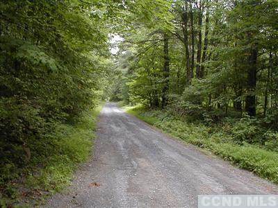 0 Bambi Lane - Photo 1