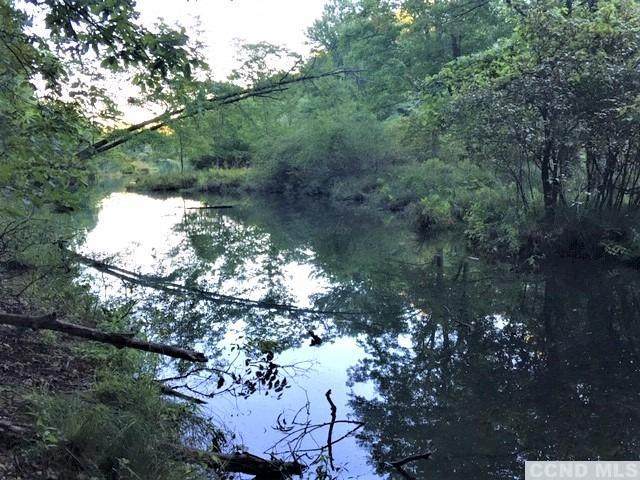 0 Paradise Lake Road - Photo 1