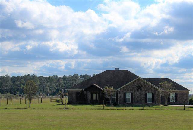 15207 Bogan Rd. - Photo 1
