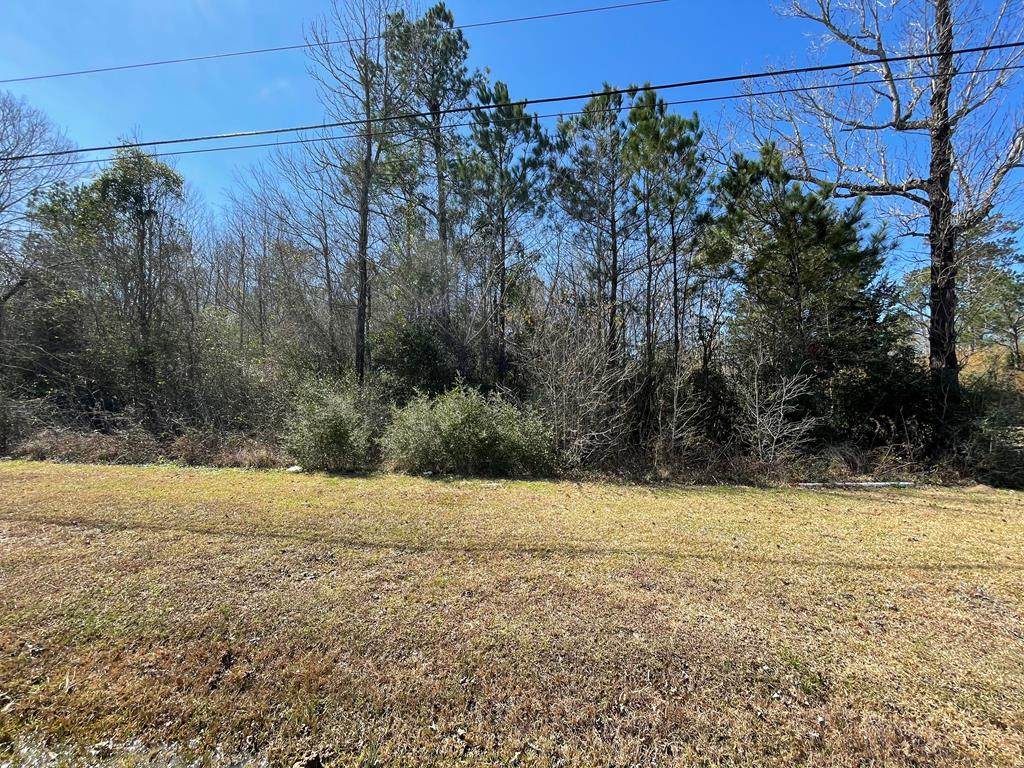 000 Hwy 69 - Photo 1