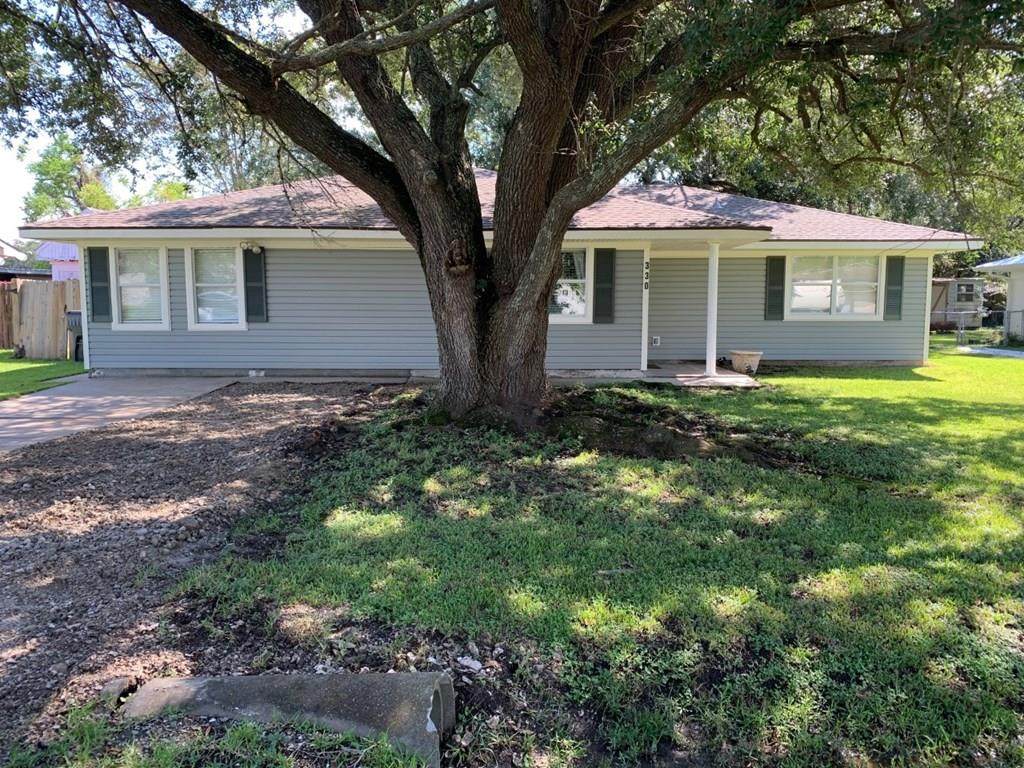 330 Paula - Photo 1